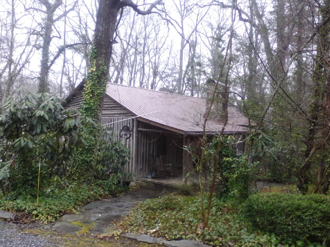 Weathered metal roof on an old board sided cabin in the woods in Douglas